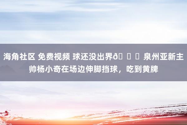 海角社区 免费视频 球还没出界👀泉州亚新主帅杨小奇在场边伸脚挡球，吃到黄牌